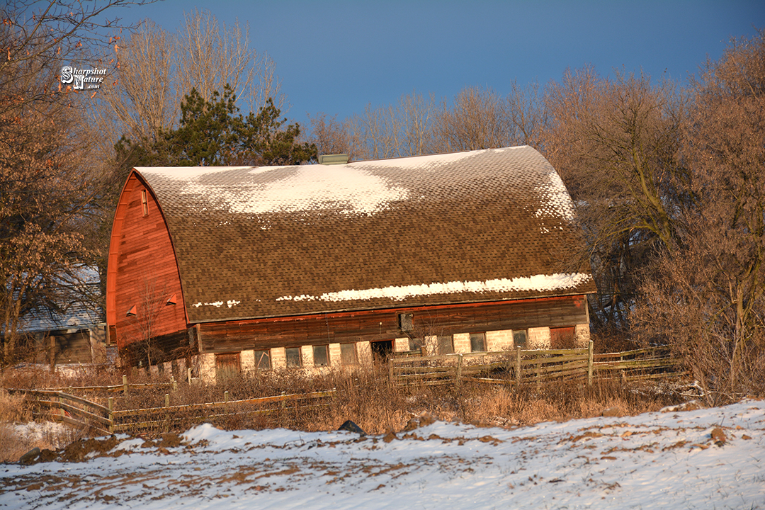 Barn